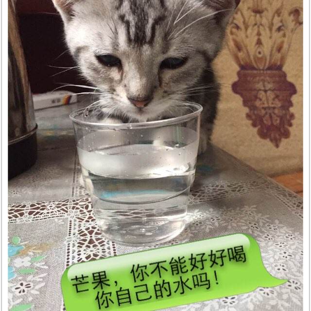 国内 日本在留卡丢了